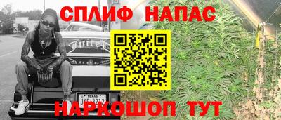 винт Гатчина