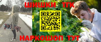 винт Гатчина