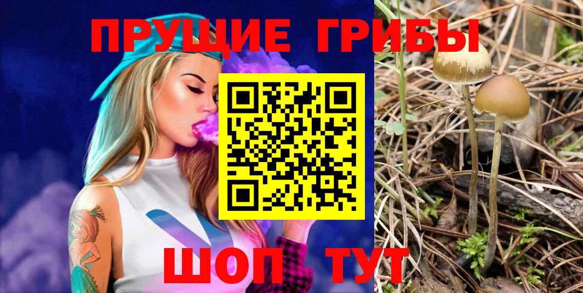 даркнет сайт  Псилоцибиновые грибы Psilocybine cubensis  Вход с VPN  Осинники 